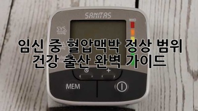 임신 중 혈압🤰맥박🫀 정상 범위, 건강 출산 완벽 가이드